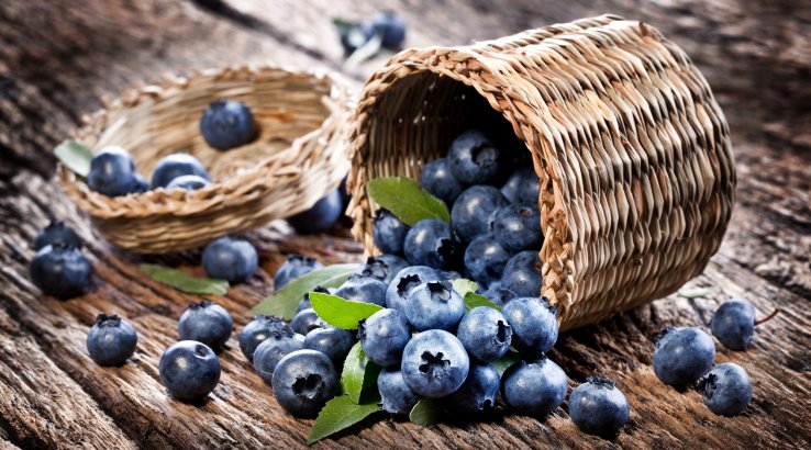 корзина с черникой