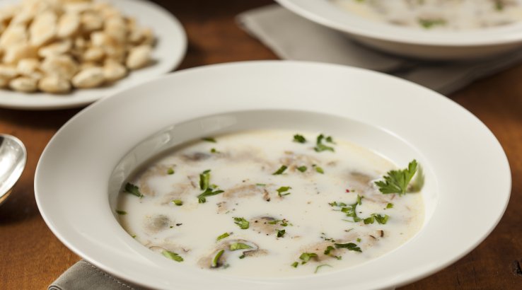 Устричний суп