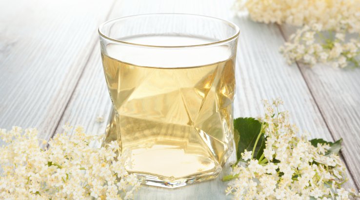 Квас із бузини