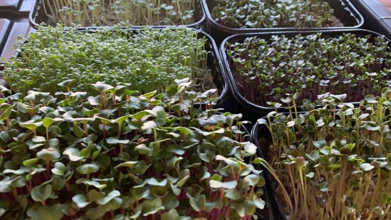 Фото: Суспільне