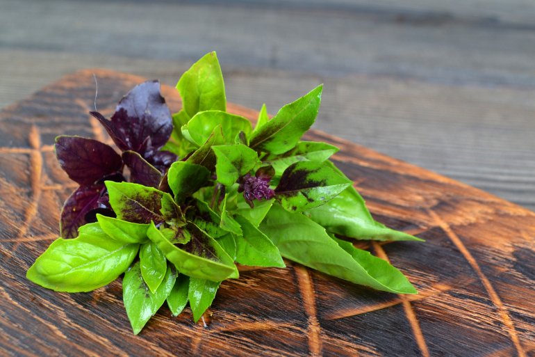 Зелений і&nbsp;фіолетовий базилік