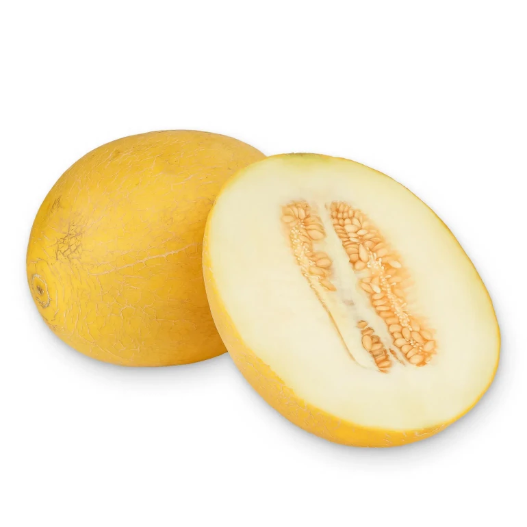 Диня «Колгоспниця»