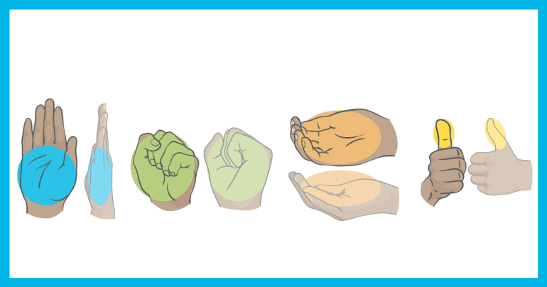 Система долонь: 1) білки; 2) овочі; 3) вуглеводи; 4) жири Фото: precisionnutrition.com