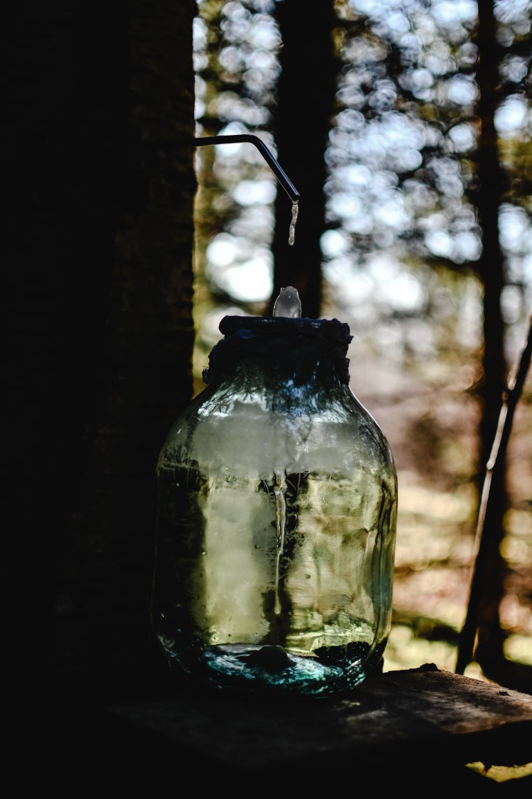Як&nbsp;збирати березовий сік