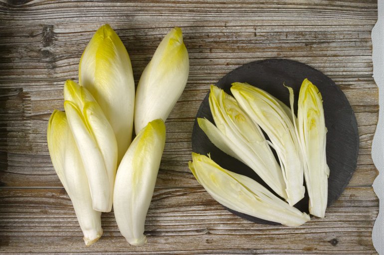 Салатний цикорій