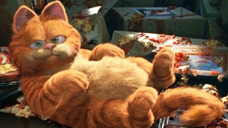 Кадр из&nbsp;фильма «Гарфилд»