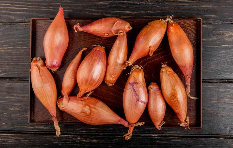 Шалот&nbsp;— часта гостя в&nbsp;різних соусів до&nbsp;риби та&nbsp;м’яса