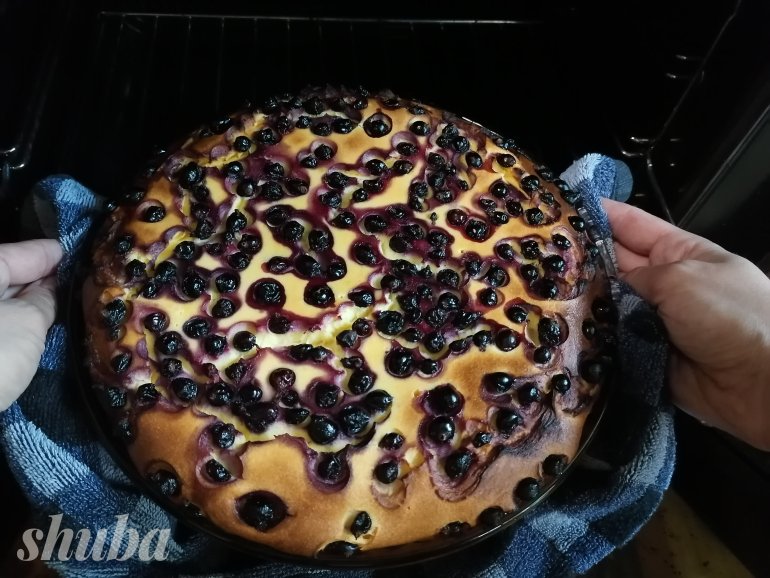 Творожная запеканка на&nbsp;молоке с&nbsp;манкой (SHUBA проверила)