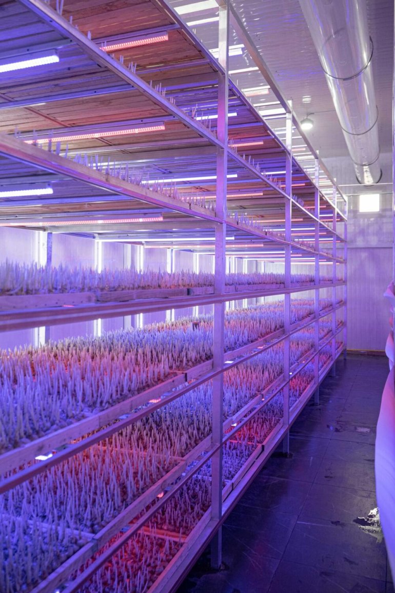 Фото: www.khaleejtimes.com