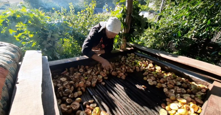 Катерина Канівець розкладає фрукти на&nbsp;сушні