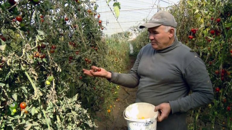 Фото: Суспільне<br>