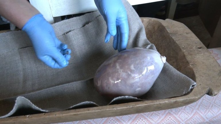 Фото: Суспільне