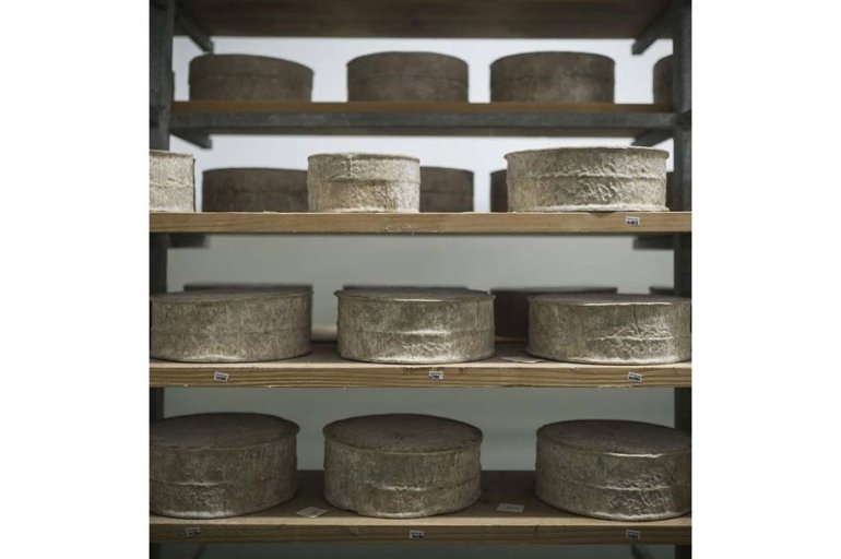 trethowanbrothers/Instagram