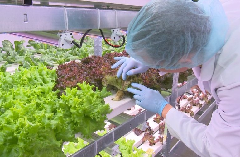 Фото: Винница.info