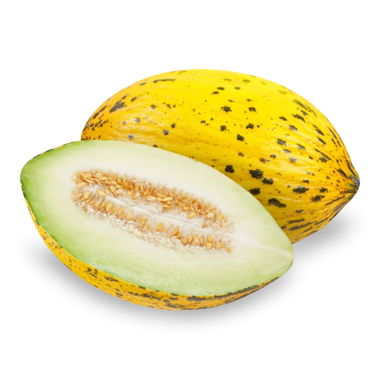 Диня «Діно»