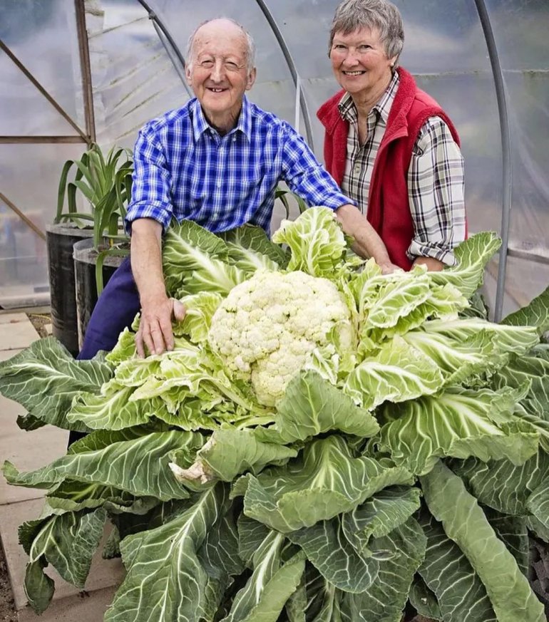 Фото:&nbsp;www.news18.com