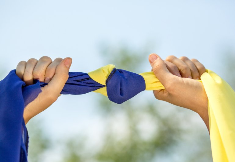 Украина&nbsp;— единая