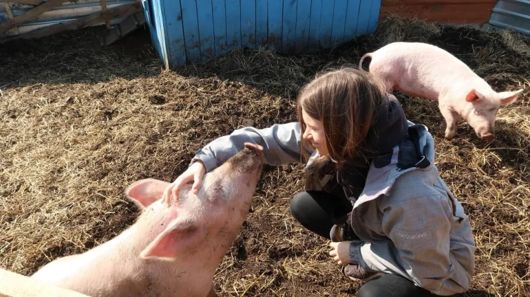 Тварини на&nbsp;цій планеті не&nbsp;для нас, а&nbsp;поруч із&nbsp;нами