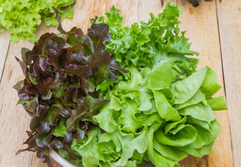 У звичайному салаті також є бета-каротин&nbsp;