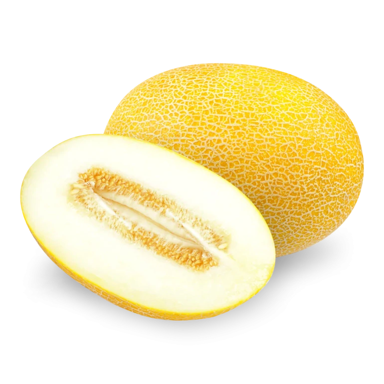 Диня «Амал»