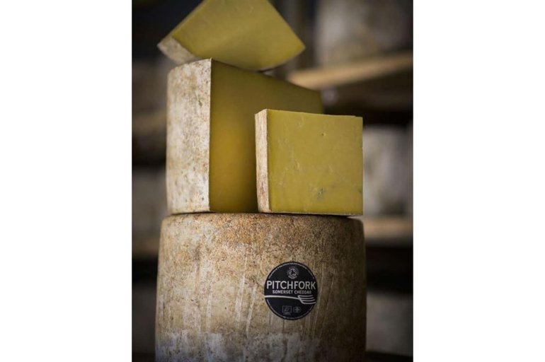 &nbsp;trethowanbrothers/Instagram