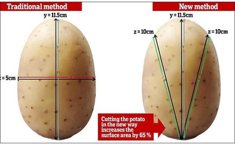 Фото: www.potatopro.com