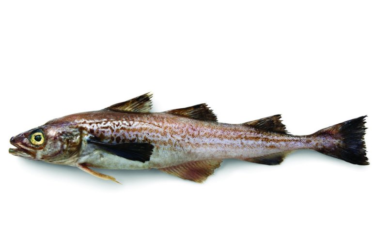 Минтай з&nbsp;Аляски