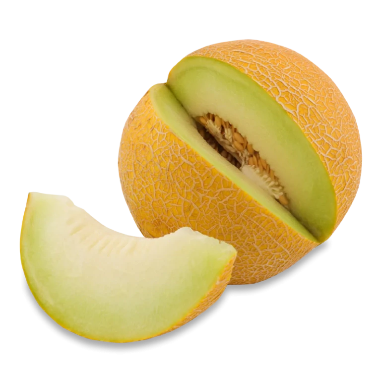 Диня «Галія»