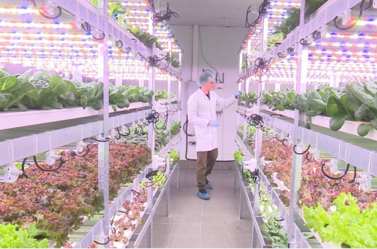 Фото: Винница.info