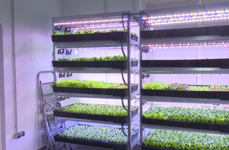 Фото: Винница.info