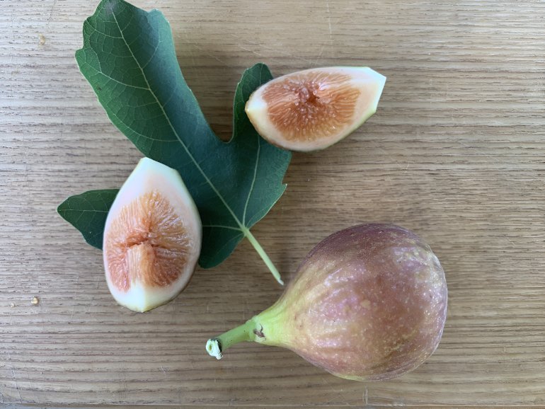 Выращенный в&nbsp;собственном саду инжир