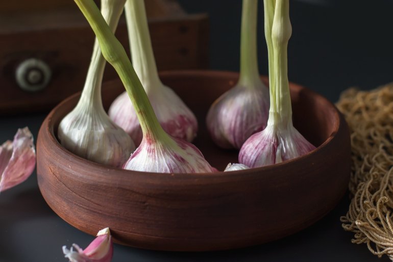 Чеснок