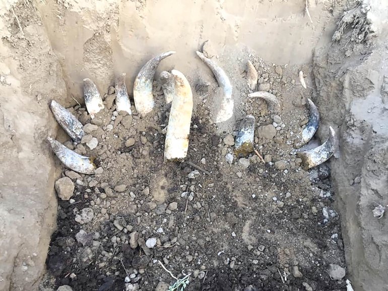 Фото: www.nepalitimes.com