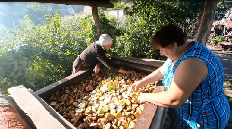 Катерина та&nbsp;Валентина Канівець, носійки традиції із&nbsp;с.&nbsp;Мала Павлівка, готують фрукти до&nbsp;сушіння