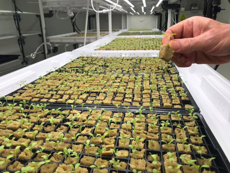 Фото: Dailysabah