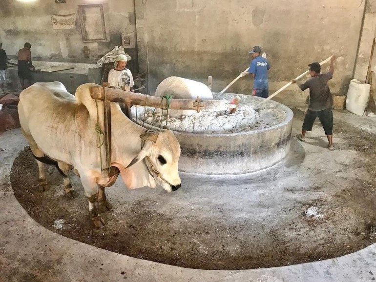 Фото: www.airasia.com